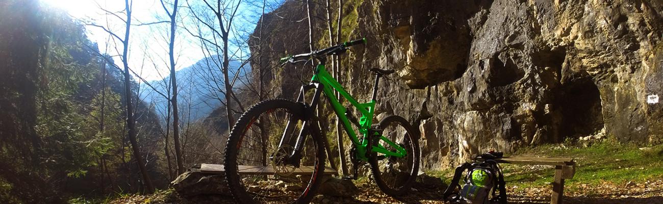 MTB Rims
